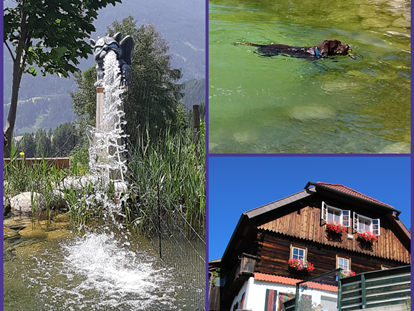 Hundehotel - Pools: Schwimmteich - Österreich - Haus Mauken