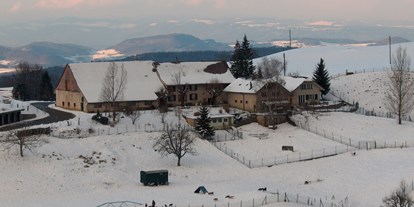 Hundehotel - Hundewiese: eingezäunt - Schweiz - Das Berghaus Oberbölchen im Winter - Berghaus Oberbölchen