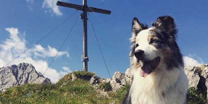 Hundehotel - Doggies: 4 Doggies - Italien - Wohlfühlzone für die Fellnasen - Hotel Martellerhof