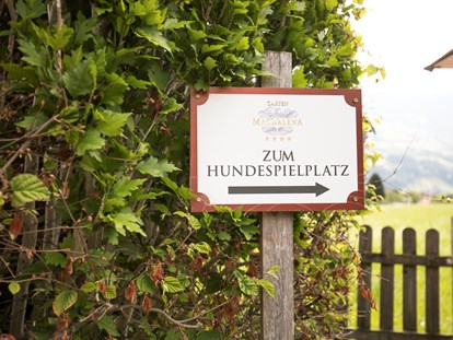 Hundehotel - Preisniveau: moderat - Österreich - Weg zum Hundespielplatz - Hotel Magdalena****