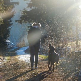 Urlaub-mit-Hund: Wandern mit Hund - Hotel & Gasthof Hubertushöhe