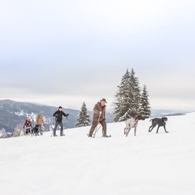 Urlaub-mit-Hund: Schneeschuhwanderung mit Hund - Hunderesort Waldeck