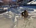 Urlaub-mit-Hund: Urlaub mit Hund im Winter - Hotel Sonja