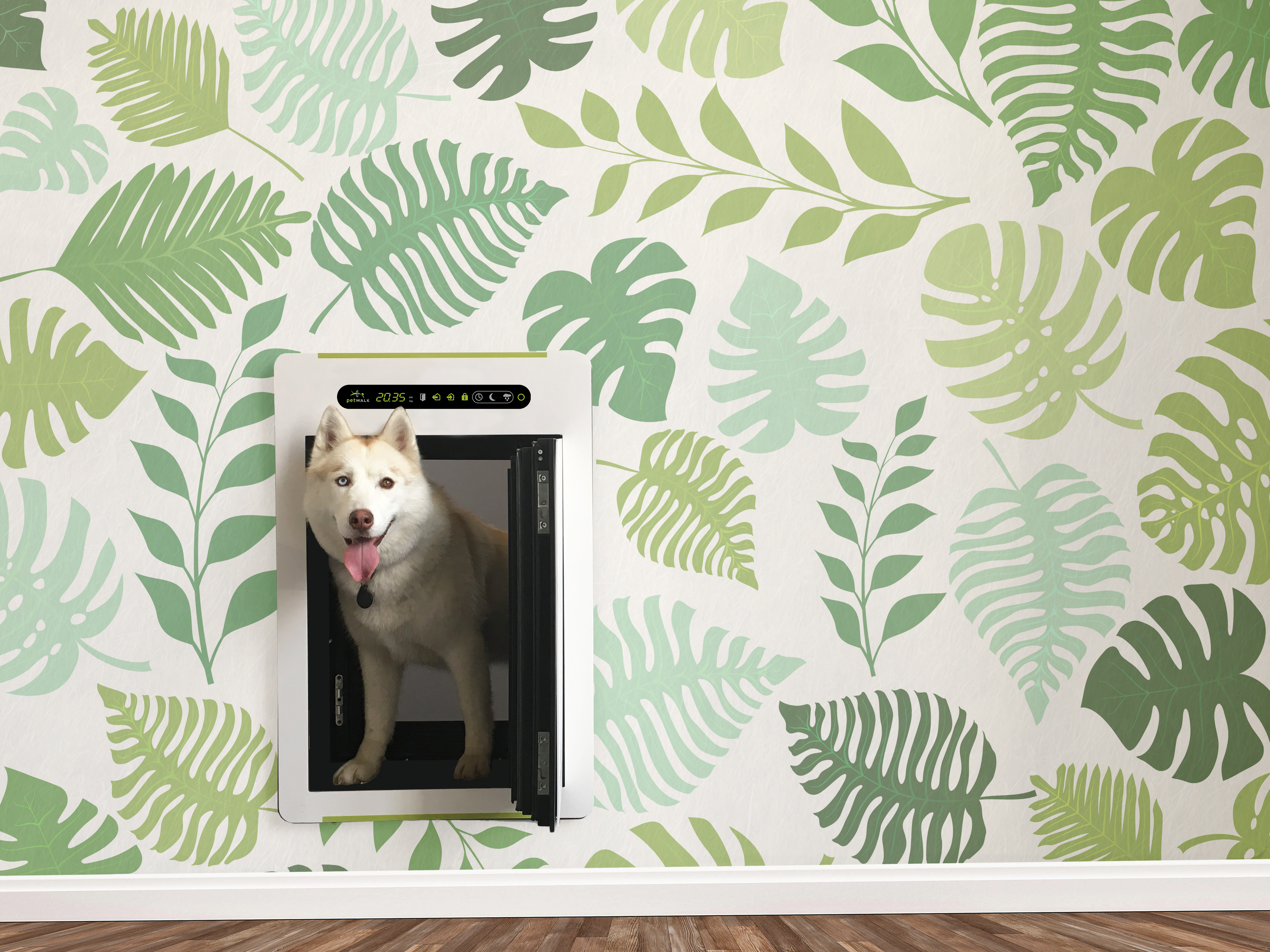Urlaubsfeeling für zu Hause: die petWALK Hundetüre im Test - hundehotel.info
