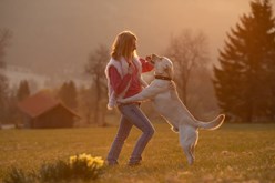 Europas bestes Hundehotel erstrahlt in neuem Glanz! - hundehotel.info