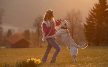 Europas bestes Hundehotel erstrahlt in neuem Glanz! - hundehotel.info