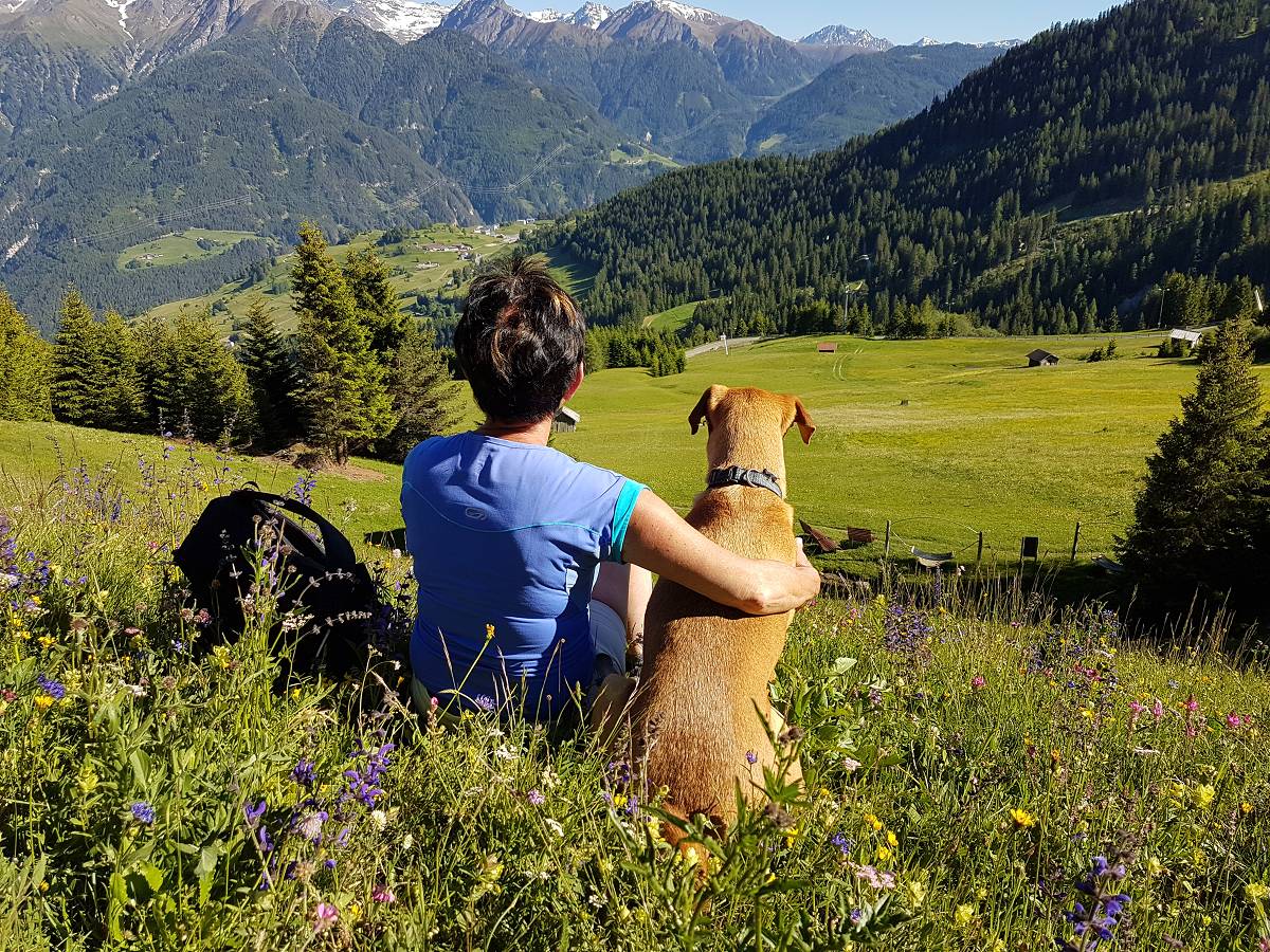 Urlaubsglück für Mensch und Hund im Hotel Bergfrieden - hundehotel.info