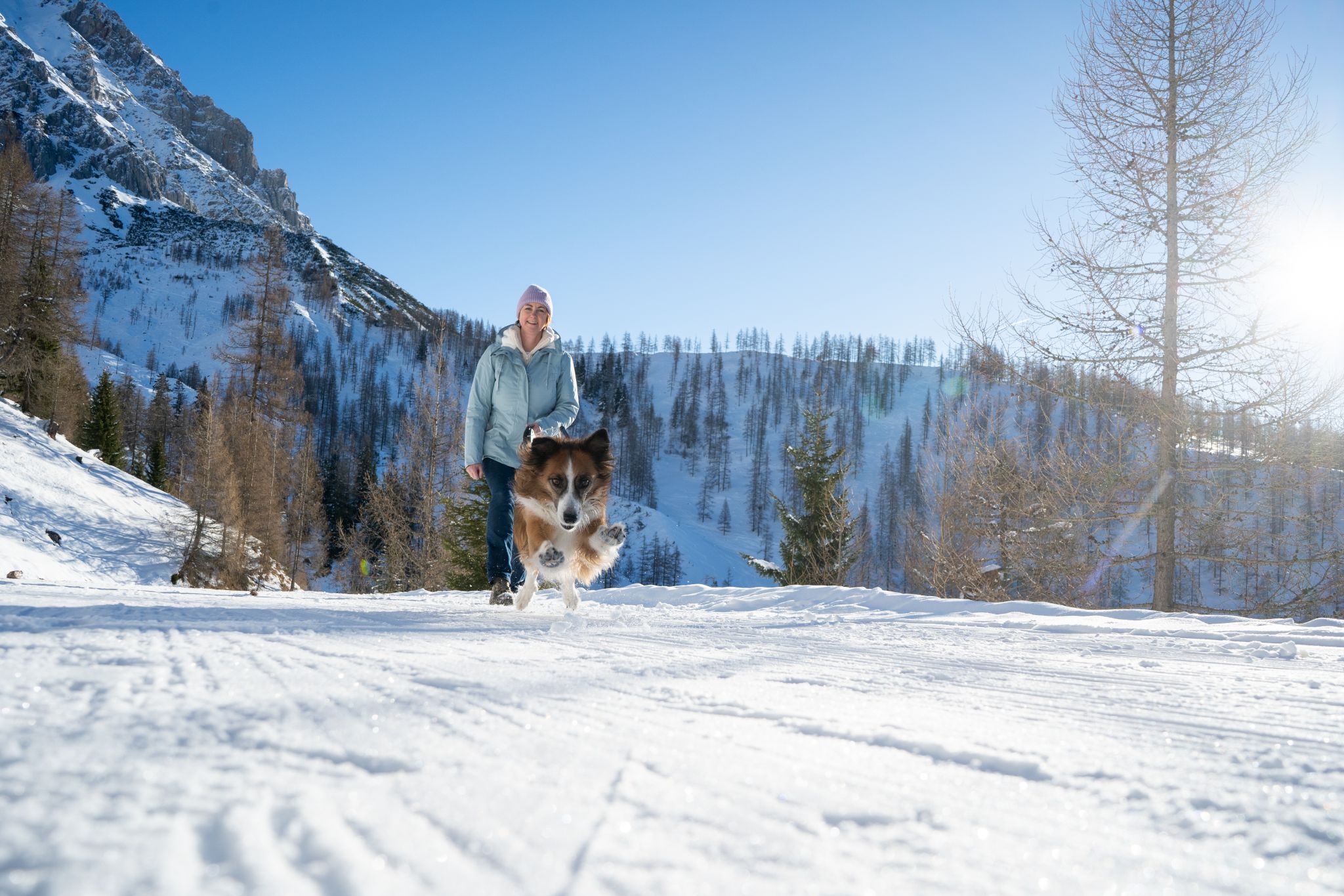 Hotel des Monats Februar: Hotel & Romantikchalet Almfrieden in Ramsau am Dachstein - hundehotel.info