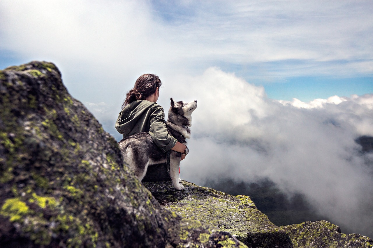 Die besten Reiseziele für Hundebesitzer in Europa - hundehotel.info