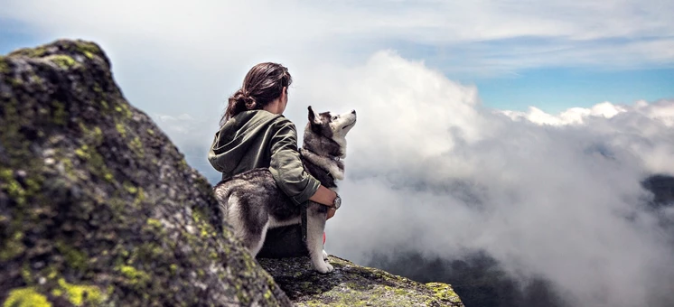 Die besten Reiseziele für Hundebesitzer in Europa - hundehotel.info