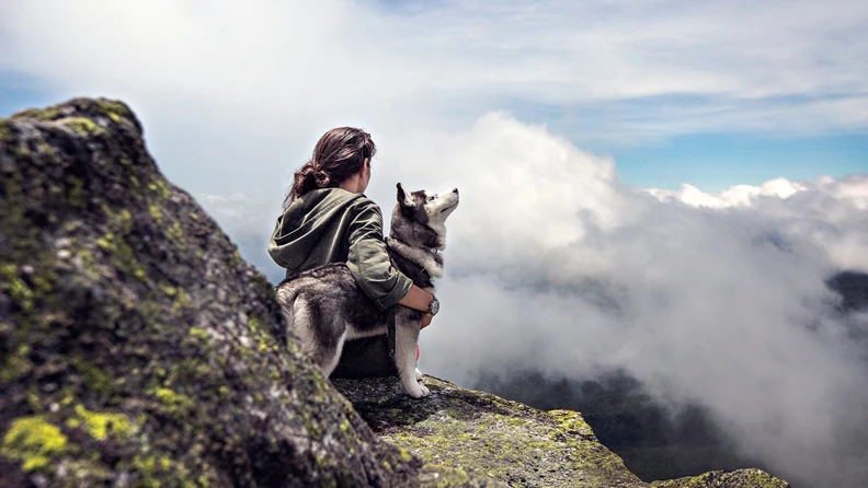 Die besten Reiseziele für Hundebesitzer in Europa - hundehotel.info