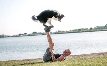 Feriendorf Spiaggia Romea: Hundeurlaub zwischen Natur, See und Meer - hundehotel.info