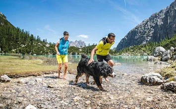 Urlaub auf vier Pfoten … im Sonnenhotel Adler in Südtirol - hundehotel.info