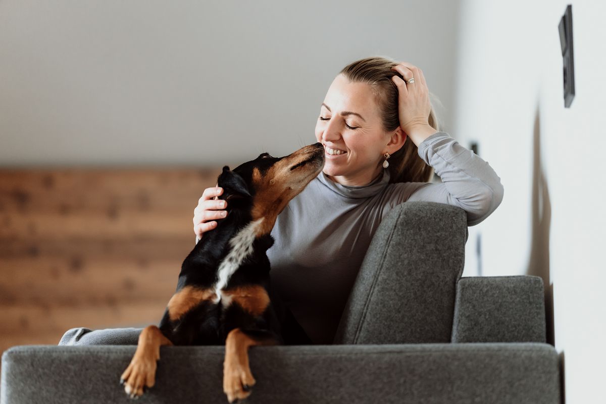 Sommerglück im ersten Boutique-Hundehotel Österreichs - hundehotel.info