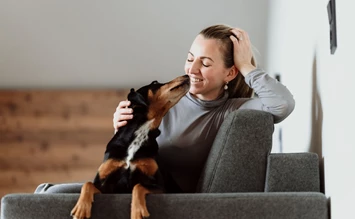 Sommerglück im ersten Boutique-Hundehotel Österreichs - hundehotel.info