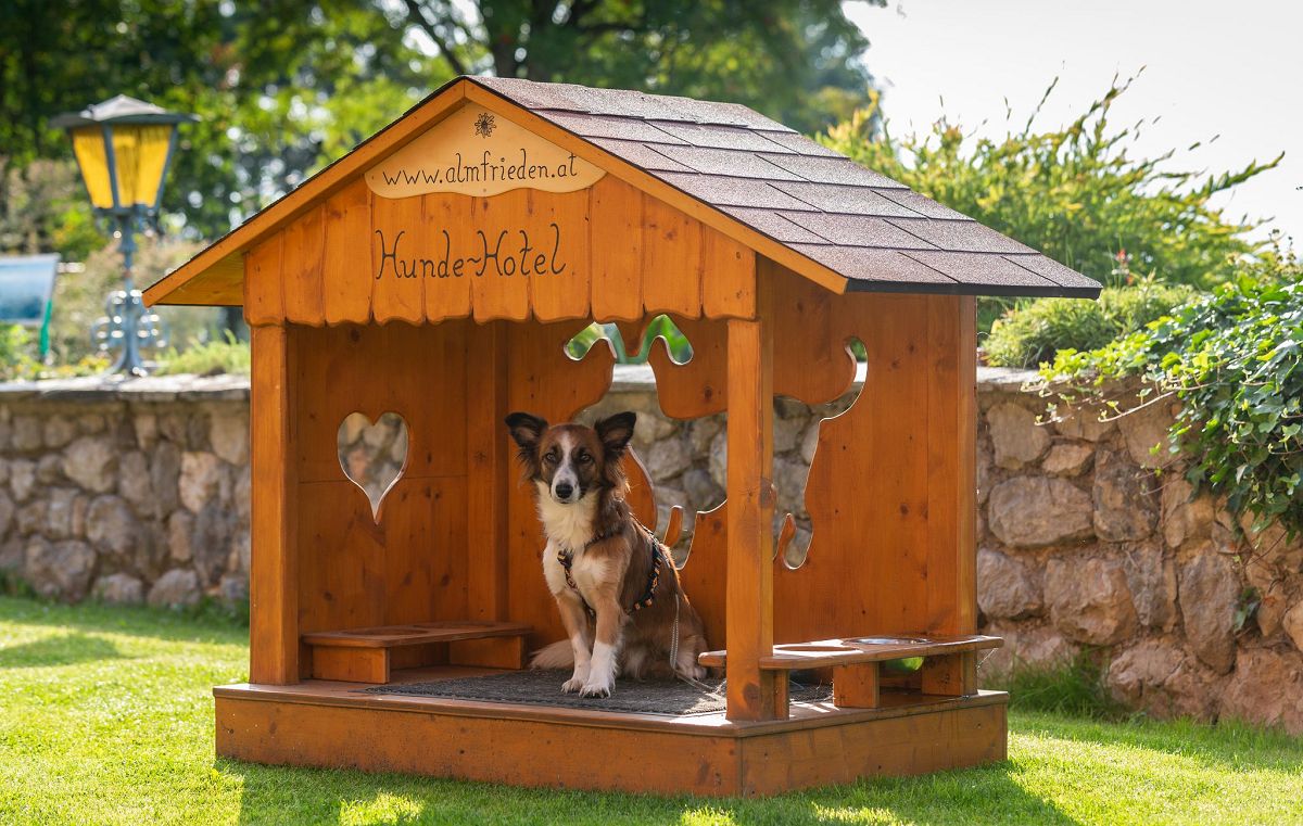 Hotel des Monats September: Almfrieden Hotel & Romantikchalet in Ramsau am Dachstein - hundehotel.info