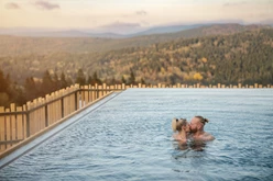 Goldene Wellnessmomente im Hunderesort Waldeck - hundehotel.info
