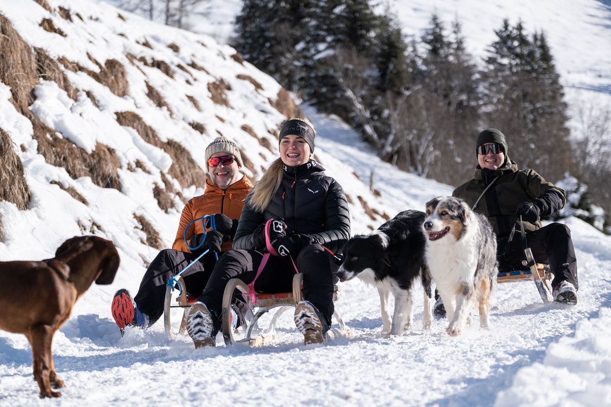 Hotel des Monats Dezember: Hotel Grimming in Rauris - hundehotel.info