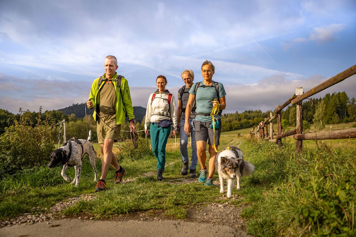 Der Wolfshof – euer hundefreundliches Zuhause im Harz - hundehotel.info