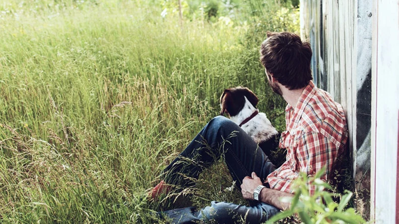 Das große hundehotel.info Bewertungsgewinnspiel 2019 - hundehotel.info
