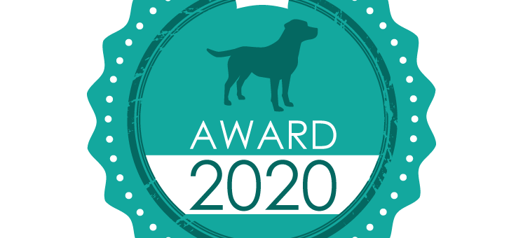 hundehotel.info Award 2020 – So haben wir das Ranking erstellt - hundehotel.info