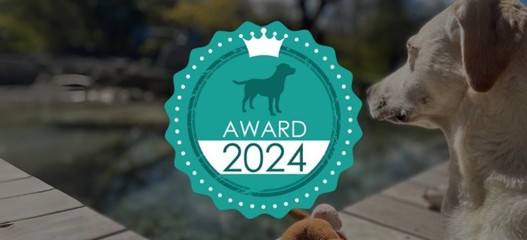 Die 10 besten Hundehotels - hundehotel.info Award 2024 - hundehotel.info