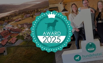 Die 10 besten Hundehotels - hundehotel.info Award 2025 - hundehotel.info