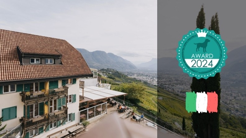 Das sind die besten Hundehotels in Südtirol - hundehotel.info