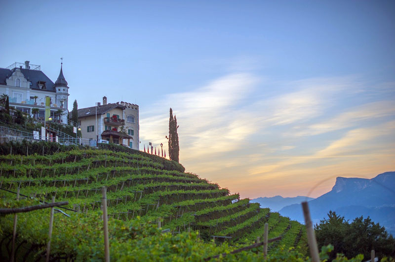 Hotel Mair am Ort: Urlaub für Hund und Mensch in Südtirol - hundehotel.info