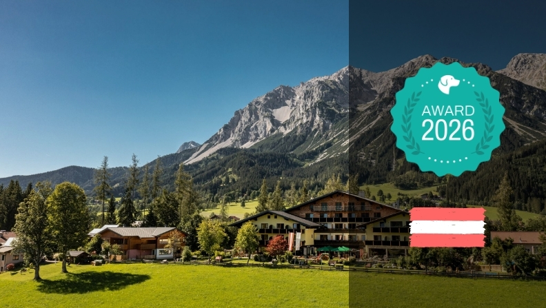 Das sind die 10 besten Hundehotels in Österreich - hundehotel.info