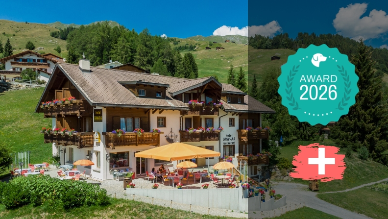 Das sind die besten Hundehotels in der Schweiz - hundehotel.info