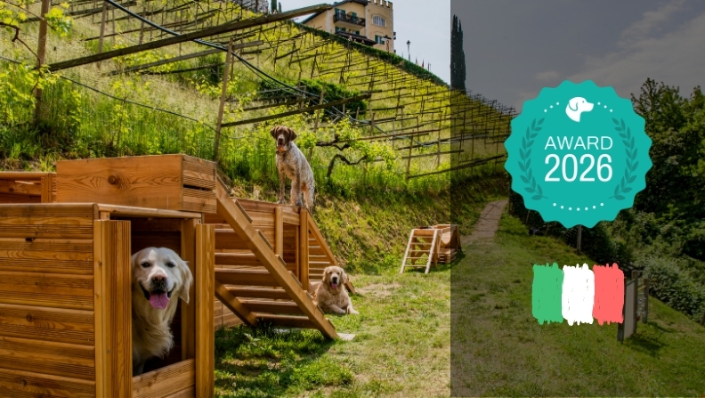 Das sind die besten Hundehotels in Südtirol - hundehotel.info