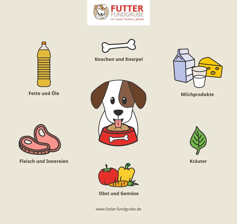 &Uuml;berblick &uuml;ber wichtige Barf-Zutaten