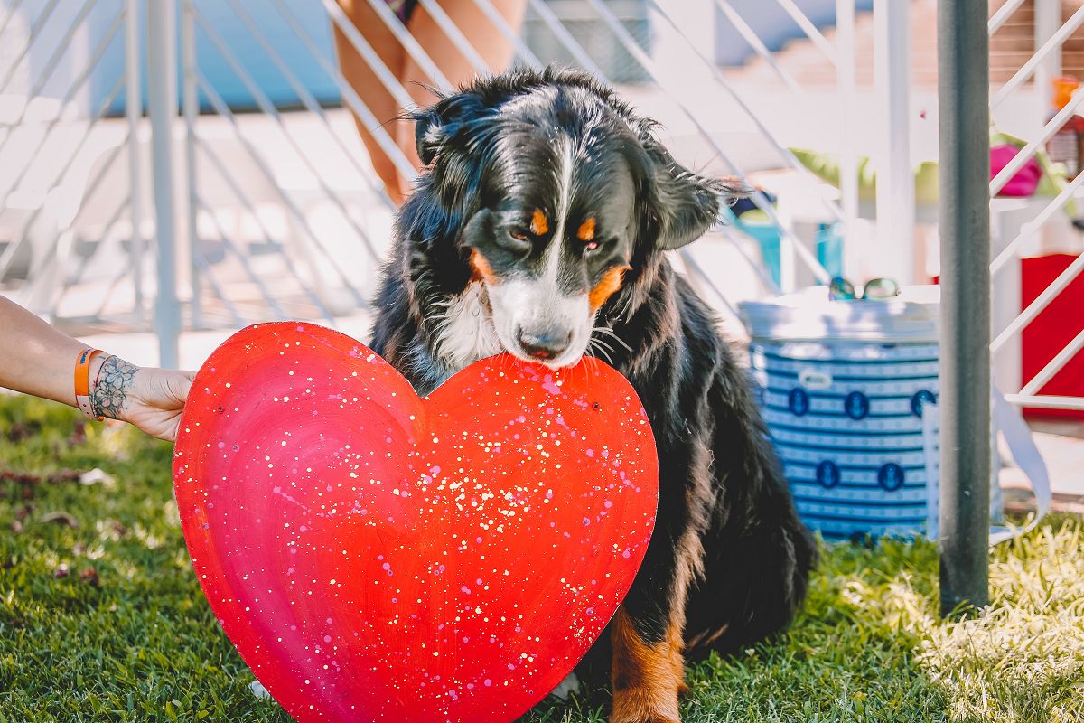 Feriendorf Spiaggia Romea