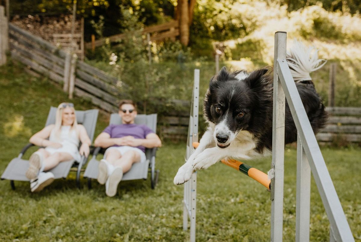 Hotel des Monats März: Hotel Grimming im Raurisertal - hundehotel.info
