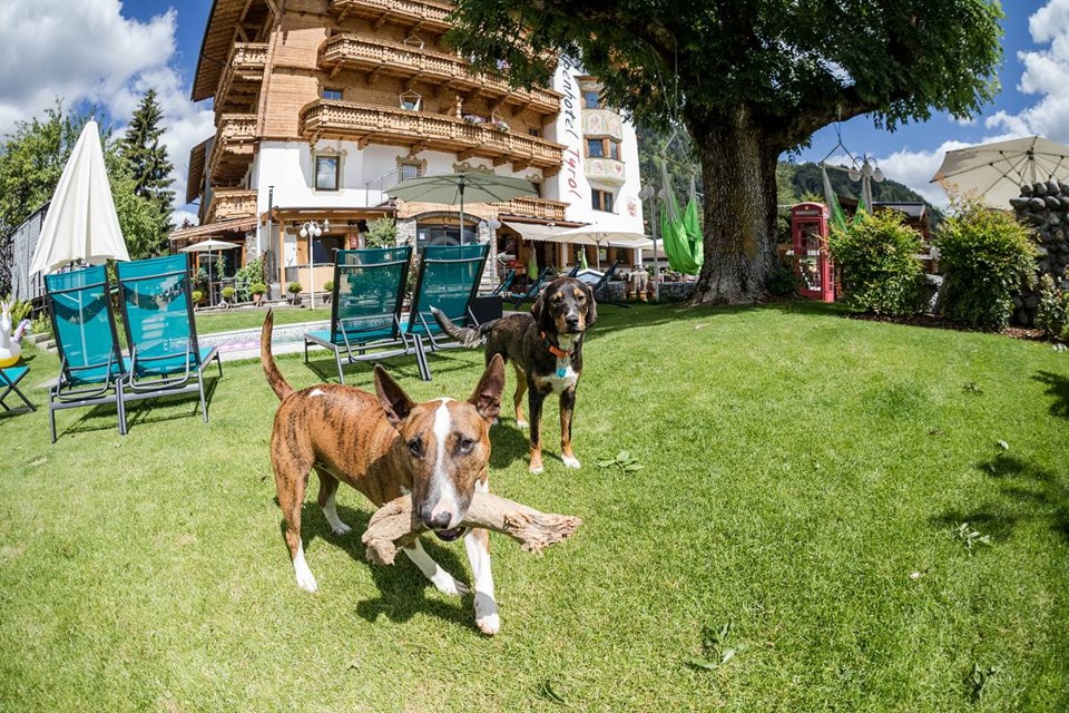 Alpenhotel Tyrol in Pertisau am Achensee