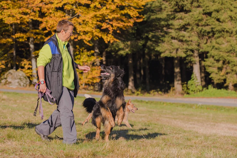Landhotel Haus Waldeck