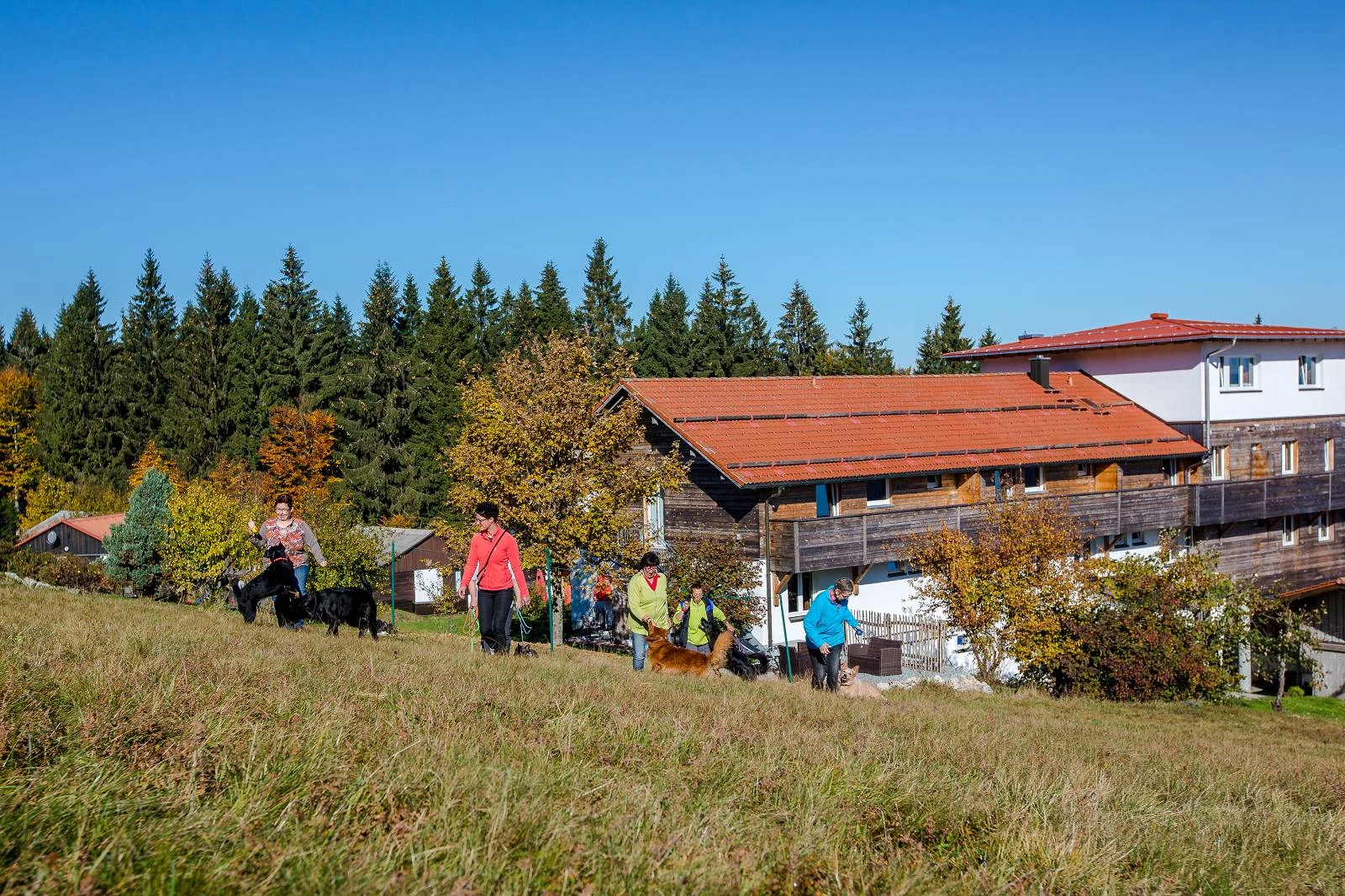Landhotel Haus Waldeck