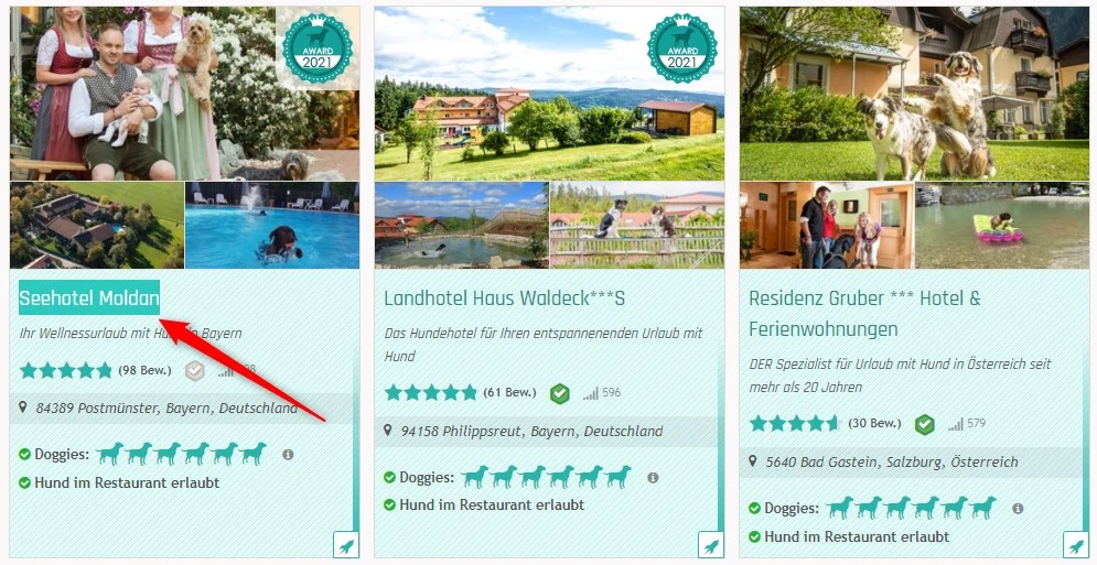 Suchseite hundehotel.info