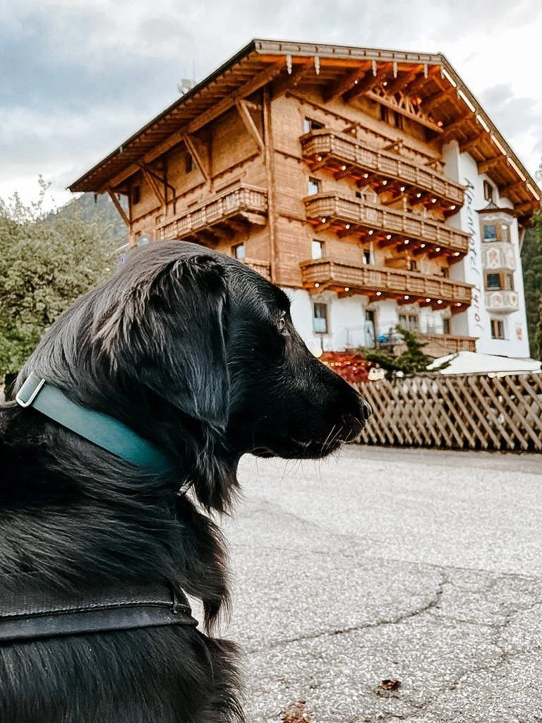 Alpenhotel Tyrol in Pertisau am Achensee