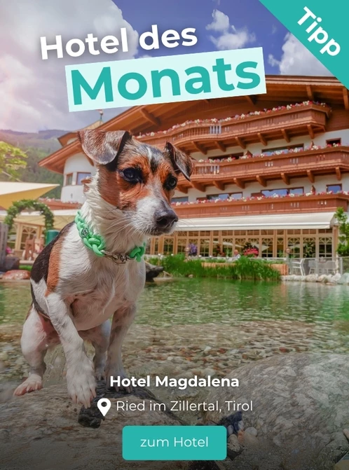 Hoteltipp des Monats: Hotel Magdalena in Ried im Zillertal, Tirol