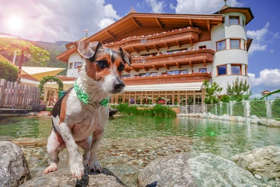 Hoteltipp des Monats: Hotel Magdalena in Ried im Zillertal, Tirol