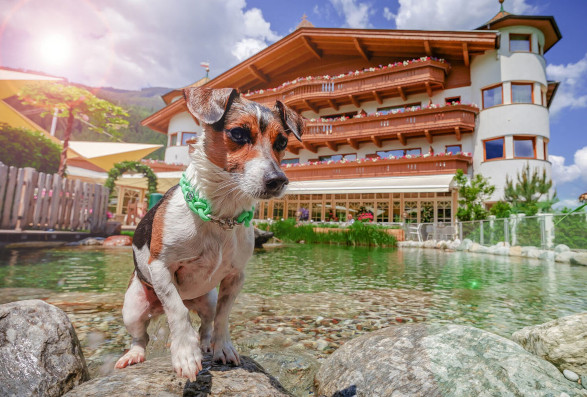 Hotel Magdalena in Ried im Zillertal, Tirol
