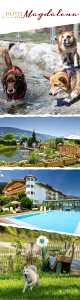 Hotel Magdalena in Ried im Zillertal