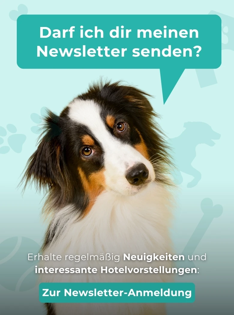 Zum Newsletter anmelden