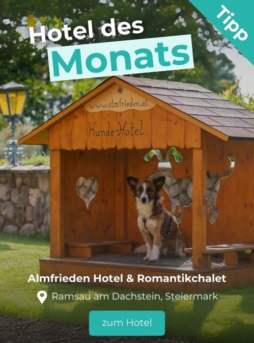 Hoteltipp des Monats: Almfrieden Hotel & Romantikchalet, Ramsau am Dachstein, Steiermark
