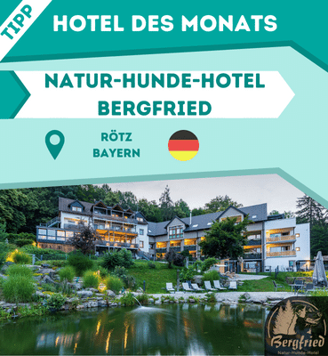 Hoteltipp des Monats: Natur-Hunde-Hotel Bergfried in Rötz, Bayern
