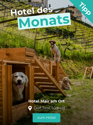 Hoteltipp des Monats: Hotel Mair am Ort, Dorf Tirol, Südtirol