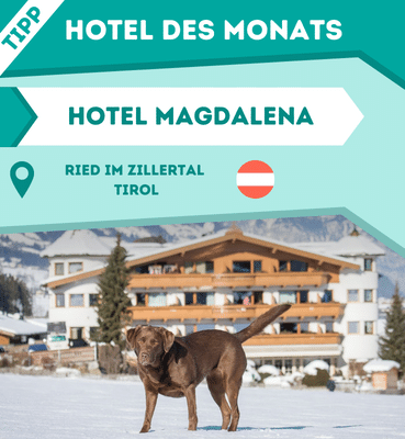 Hoteltipp des Monats: Hotel Magdalena - Ried im Zillertal, Tirol