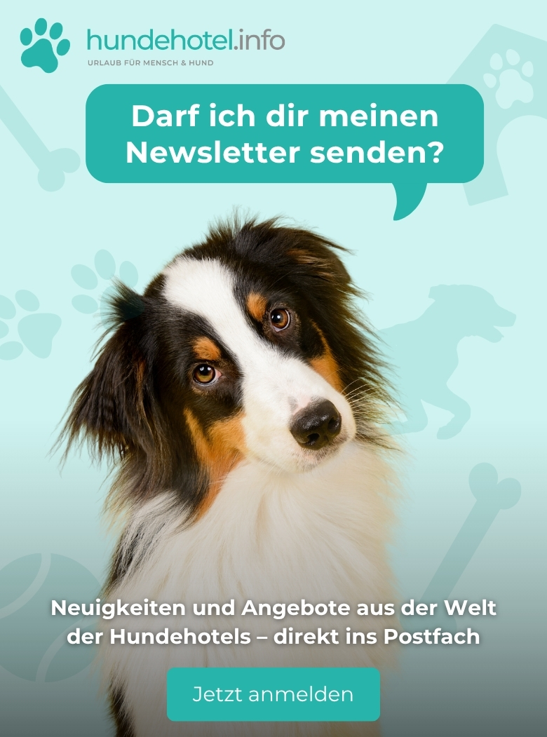 Zum Newsletter anmelden